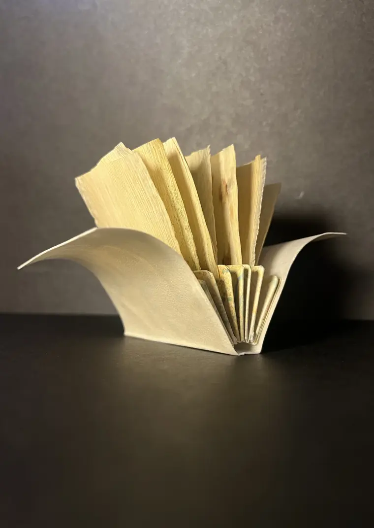 A sculptural parchment form