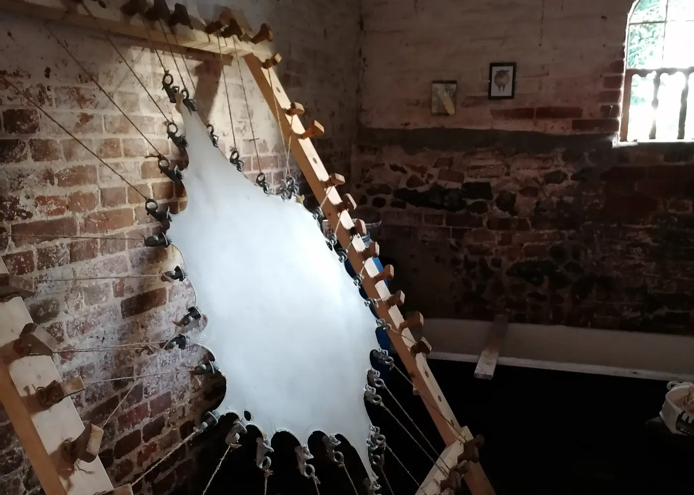 A skin stretched on the frame in the Norfolk workshop