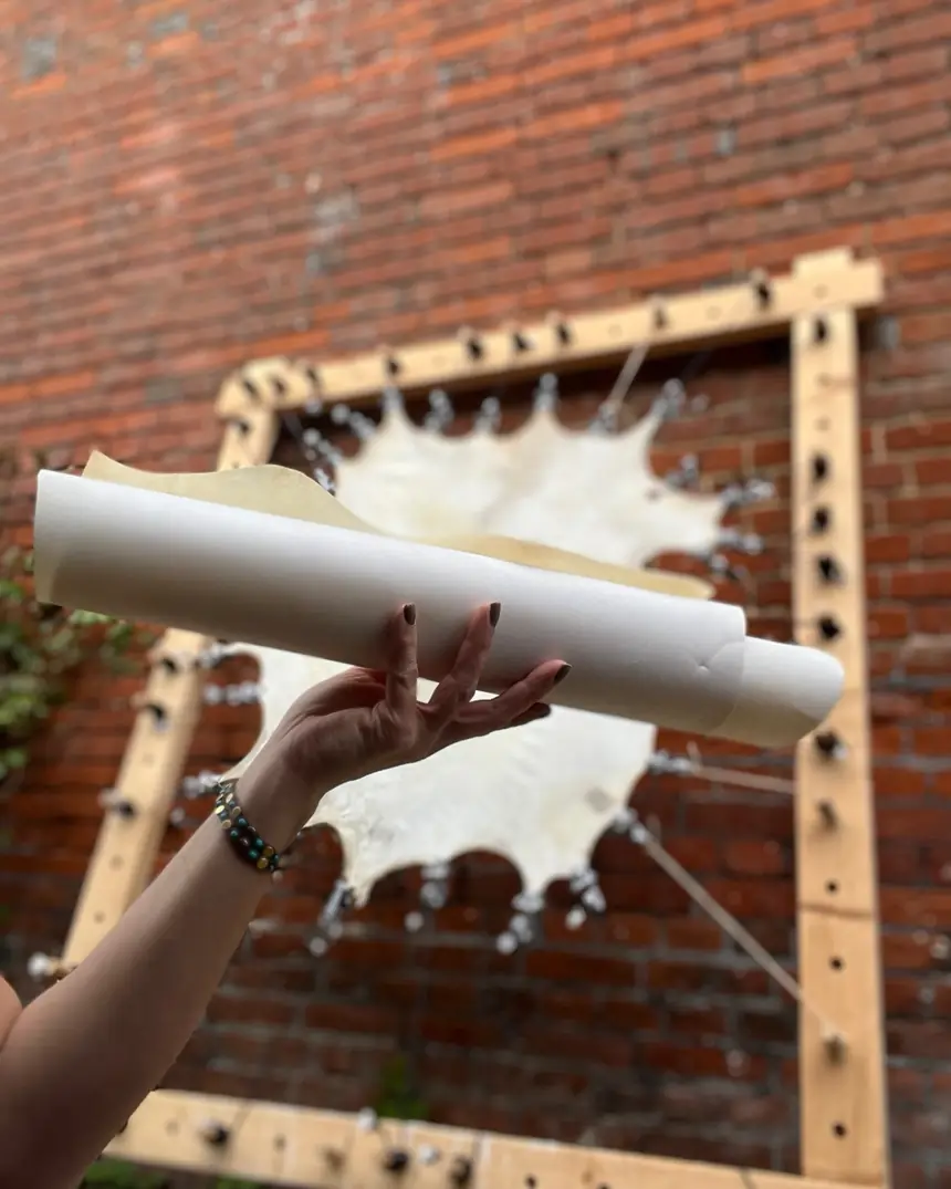 Lifting the finished parchment off the frame