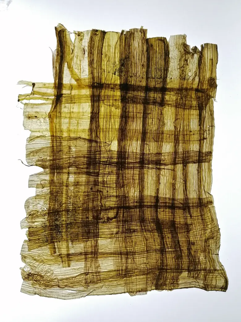 A woven parchment panel